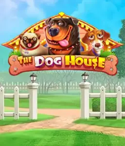 Pragmatic Play's The Dog House adventure, bringing you a fun-filled journey through lovable dogs. Engage in gameplay elements such as sticky wilds, perfect for delivering exciting wins. A must-try for animal enthusiasts an amusing theme and the opportunity to win big.